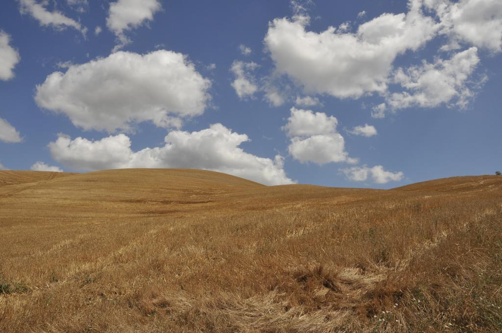 Agriturismo Podere Campaini Volterra Bagian luar foto
