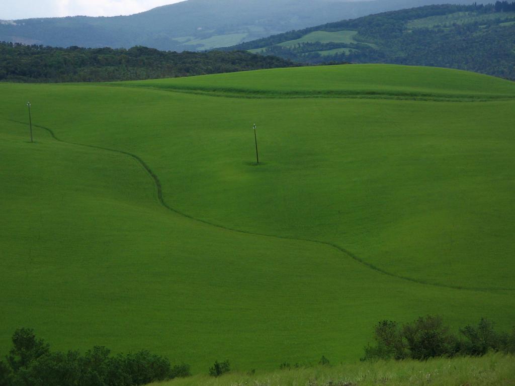 Agriturismo Podere Campaini Volterra Bagian luar foto