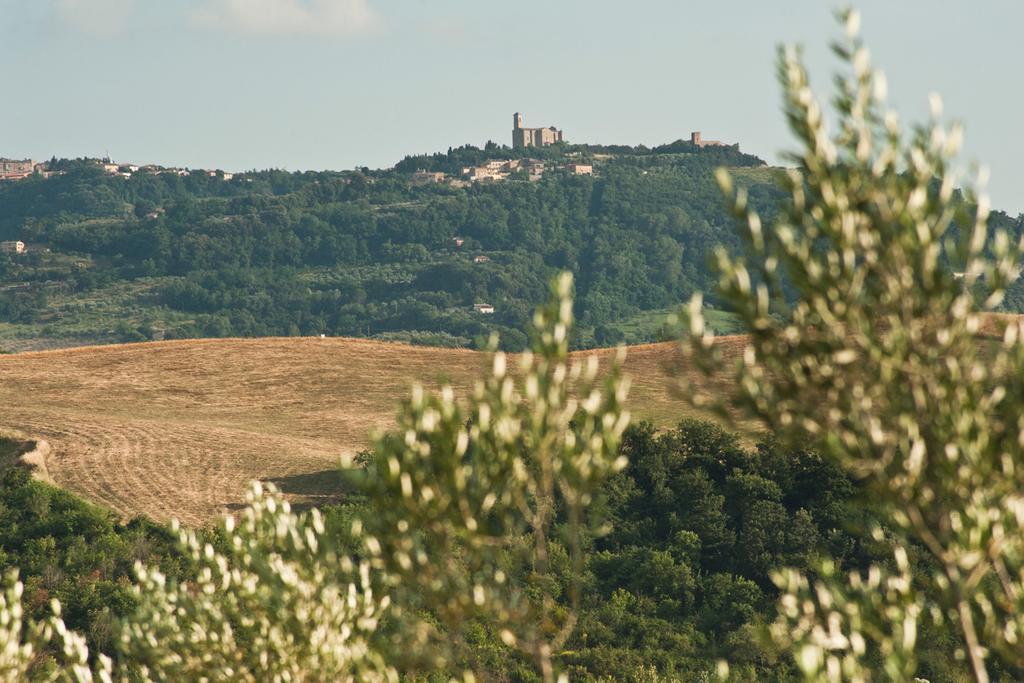 Agriturismo Podere Campaini Volterra Bagian luar foto