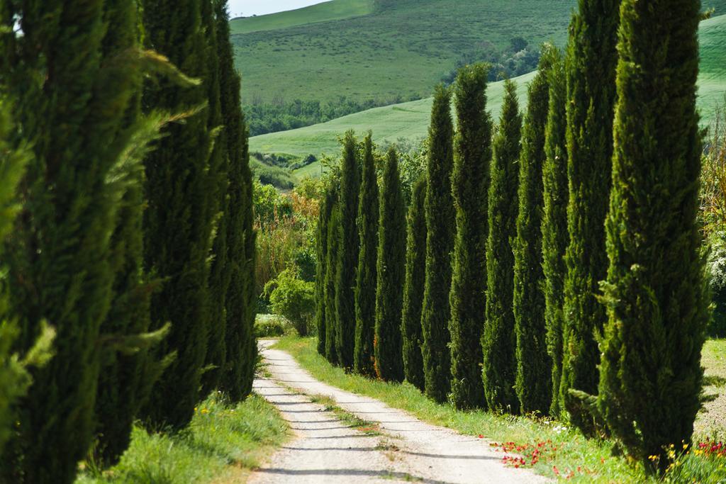 Agriturismo Podere Campaini Volterra Bagian luar foto